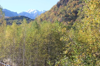 IMG_0874.JPG