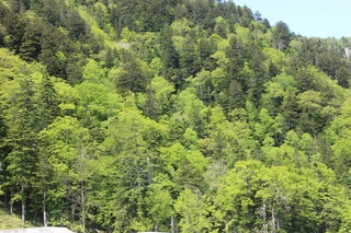 IMG_4137.JPG