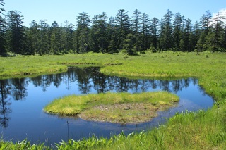 IMG_9721.JPG