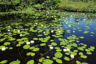 IMG_9750.JPG