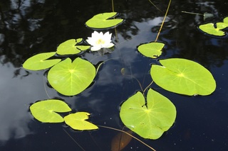 IMG_9753.JPG