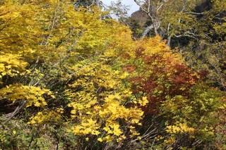 IMG_9980.JPG